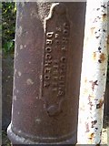 N8454 : Manufacturer's Plaque on water pump, Freffens Great, Co Dublin by C O'Flanagan