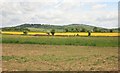 Fields nr Claydon 