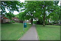 Footpath on the Trench Wood Estate