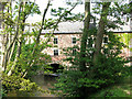 TL8299 : The former watermill in Hilborough - mill stream by Evelyn Simak