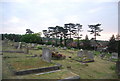 TQ5948 : Tonbridge Cemetery by N Chadwick