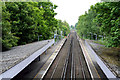 Falconwood:  Railway looking east from the bridge