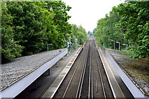 TQ4475 : Falconwood:  Railway looking east from the bridge by Dr Neil Clifton