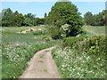 Narrow lane at Enstone