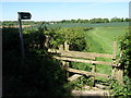 Footpath to Bladon