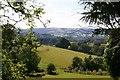 View from Hawkwood College gardens