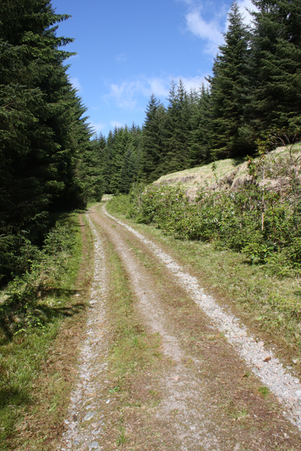 Track through Glen Etive Forest