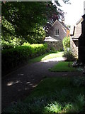 ST7611 : All Saints, Fifehead Neville- church path by Basher Eyre