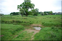 TF2766 : Ford on Scrivelsby Beck near Long Farm Scrivelsby by John Walton