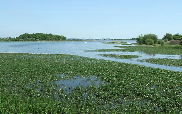 Belvide Reservoir near Brewood,... © Roger Kidd :: Geograph Britain and ...