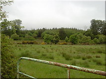 R5166 : Landscape, Cooleycasey, Co Clare by C O'Flanagan