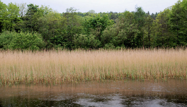 The River Bann near Coleraine