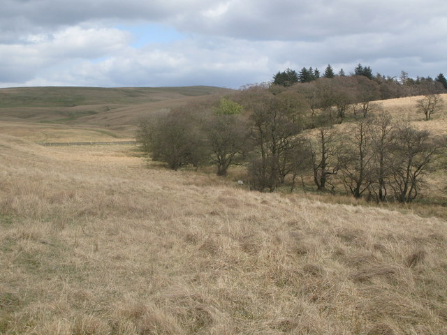 Rough pastures and woodland south of Wintershields (2)