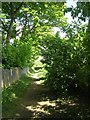 Footpath - Church Lane, Pellon