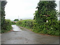 Entrance to Whitebarn Farm