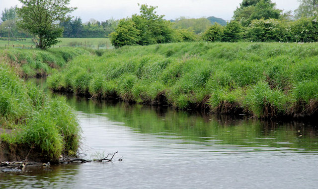The Ballymoney River near Ballymoney