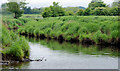 C9023 : The Ballymoney River near Ballymoney by Albert Bridge