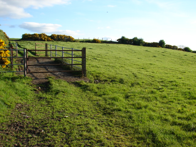 Field on Holywood Road