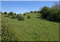 Field, Bubwith Acres