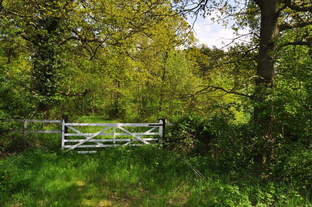 Gate to woodland - Silk Willoughby