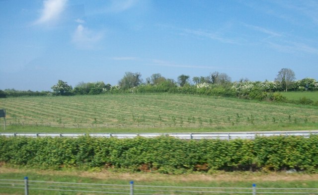 Mown hay on a drumlin east of the M1 north of Newhaggard