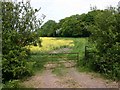 Bridleway round Chesterton Wood from B4100