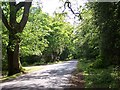 Looking west on Beechwood Road