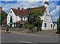 The Lion, Nyetimber Lane