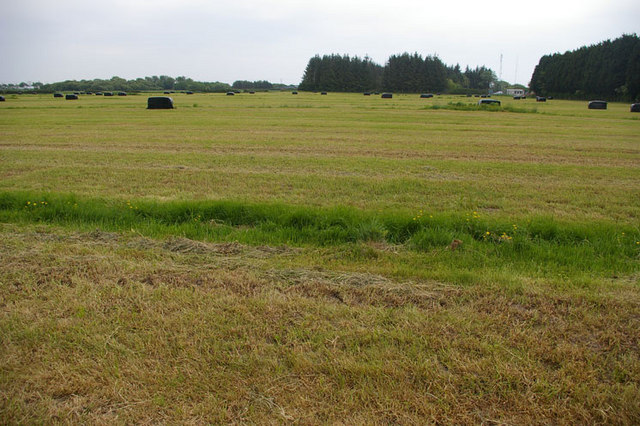 Silage all wrapped up