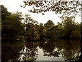 Island in the lake