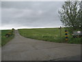 Farm road to Brierton Farm