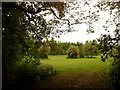 Trees in Northfield Manor Farm Park