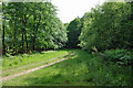 Woodland track near Poling Corner