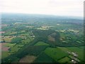 East Devon : Woodland & Aerial View