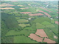 East Devon : Woodland and Fields