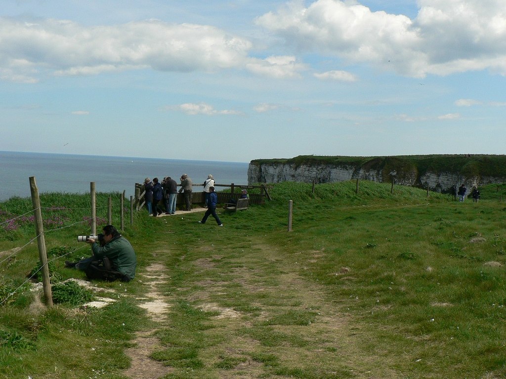 Staple Newk, Bempton Cliffs © Rich Tea :: Geograph Britain and Ireland