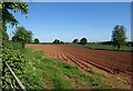 Field near Winford Manor