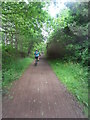 Trans Pennine Trail near Reddish Farm