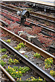 Rail Gap Indicator and Train Stop