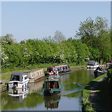 SJ8120 : Shropshire Union Canal near Gnosall Heath, Staffordshire by Roger  D Kidd