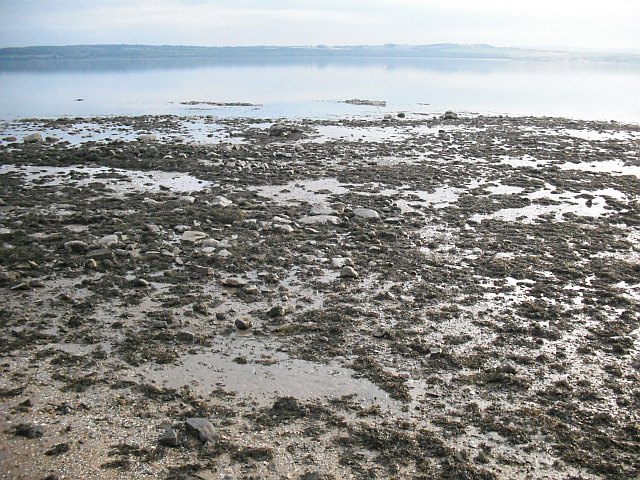 Beach, Limekilns © Richard Webb Cc-by-sa 2.0 :: Geograph Britain And 