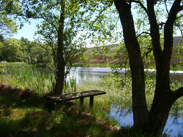 Fishing pond © jamesnicoll :: Geograph Britain and Ireland