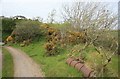 LSWR former North Cornwall railway 