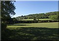 Field near Winscombe