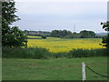 Footpath and field next to Boreham House