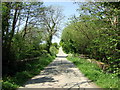 Bridge near Trewern