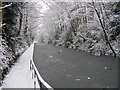 Frozen Grand Union Canal