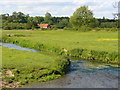 Wey Below White Bridge