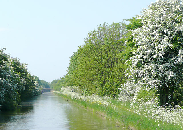 Shropshire Union Canal near Little Onn, Staffordshire