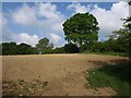 Field by the Two Moors Way